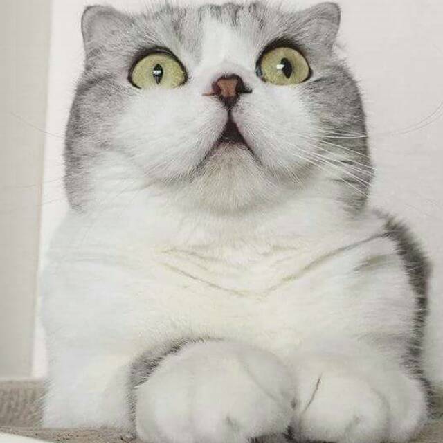 difahnf
