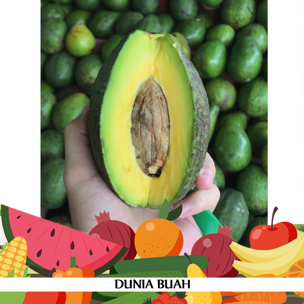 

Alpukat Mentega 1KG by Dunia Buah