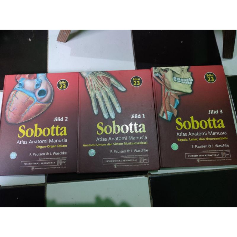 

Sobotta