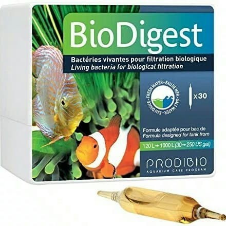 PRODIBIO BIODIGEST 1 VIAL AMPUL LIVING BACTERIA BAKTERI STARTER