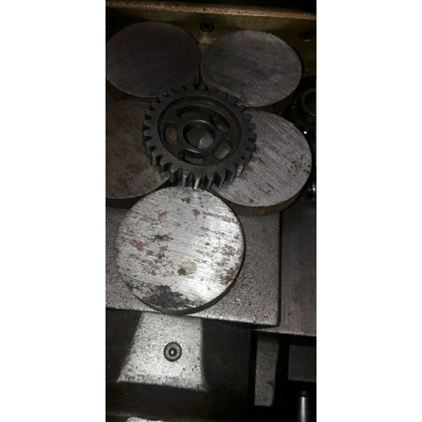 Rasio Tiger Gigi 1-26T