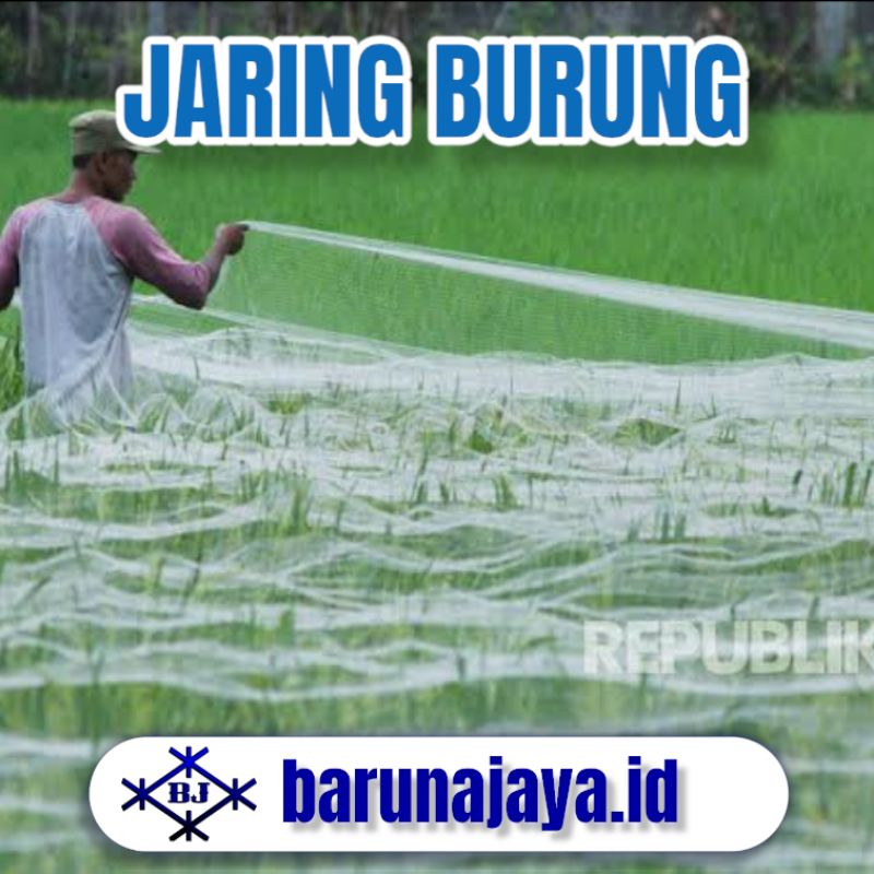 Jaring Burung - Jaring Sawah - Jaring Padi