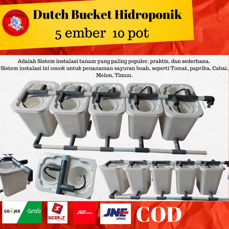 DUTCH BUCKET HIDROPONIK SET 5 EMBER 10 POT TANAMAN HIDROPONIK