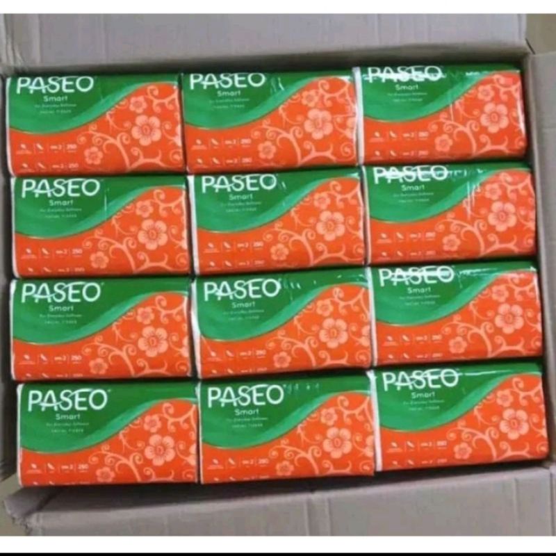 Tissue Paseo isi 250 lbr