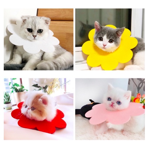 Leher Kucing Corong Anjing Pelindung Luka Anti Jilat Neck Collar Pet Protection Pet Cone