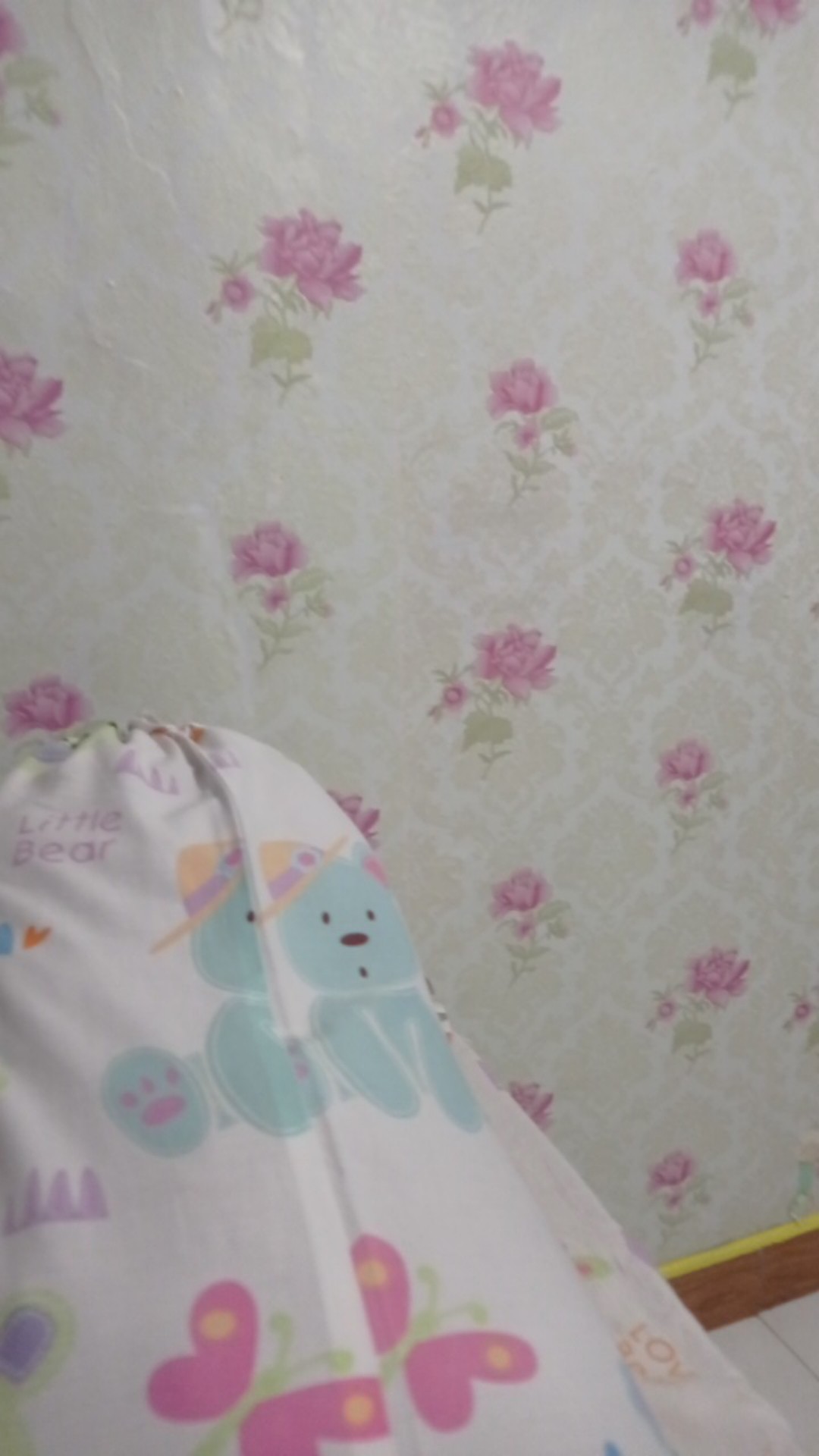 Cetakan Nastar Daun Ketuk Import Malaysia Plastik