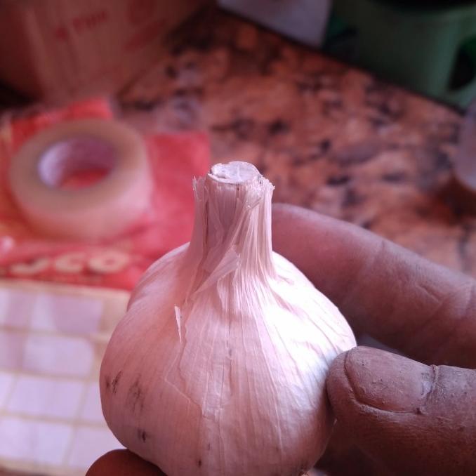 

Cuci Gudang Awal Tahun bawang putih kating 1kg Cuci Gudang Awal Tahun