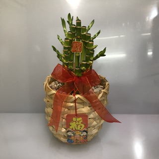 Pohon imlek bambu hoki hiasan imlek pot keranjang indoor Pohon imlek bambu hoki hiasan imlek pot keranjang indoor