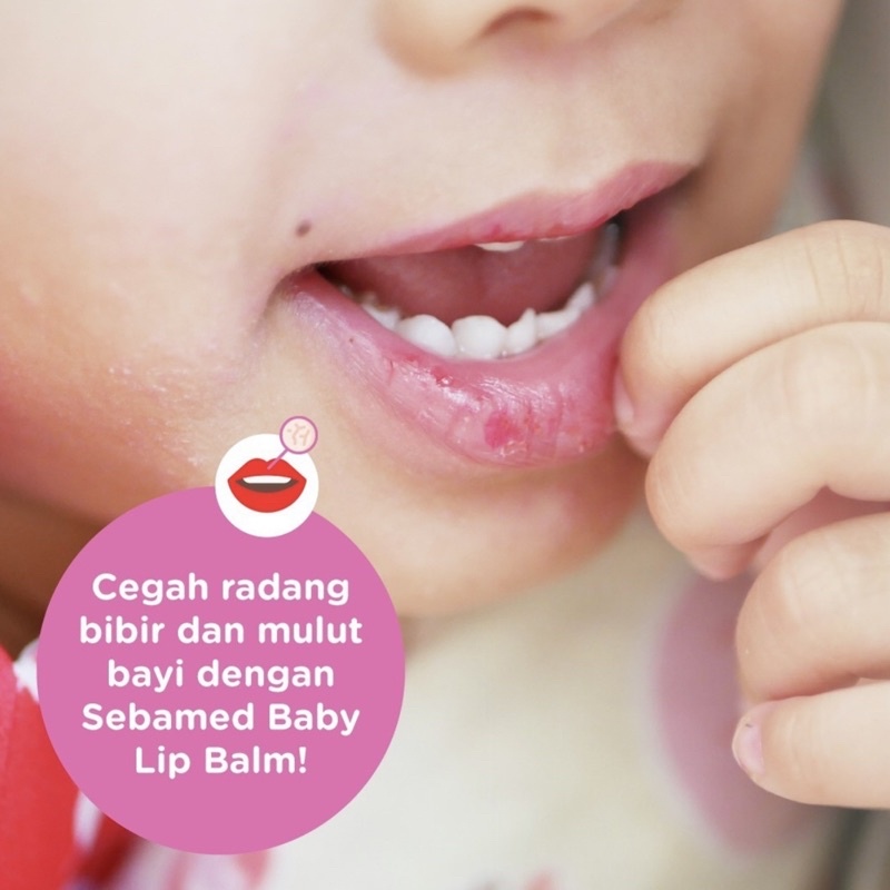 EXP 2025 SEBAMED Baby Lip Balm Lipstik Lipbalm Lipstick Bayi