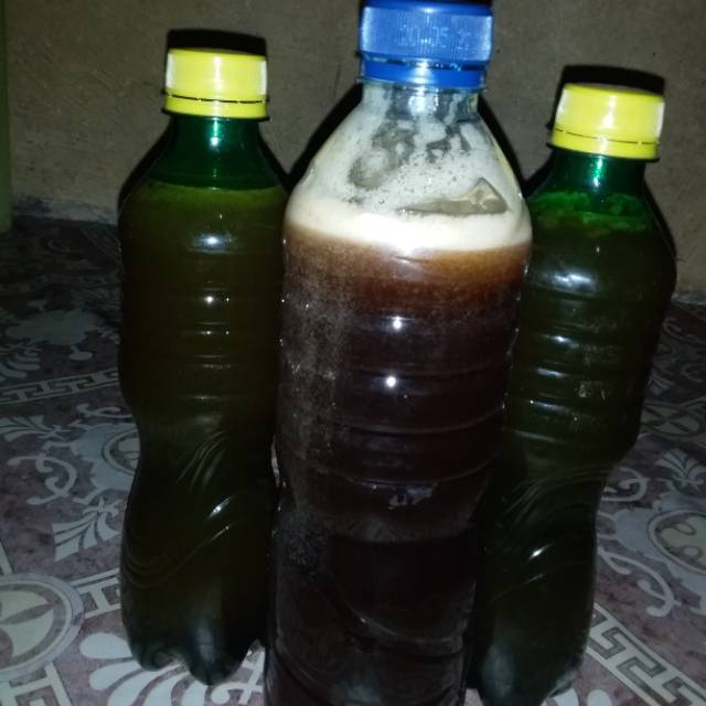 

Madu Asli Bima