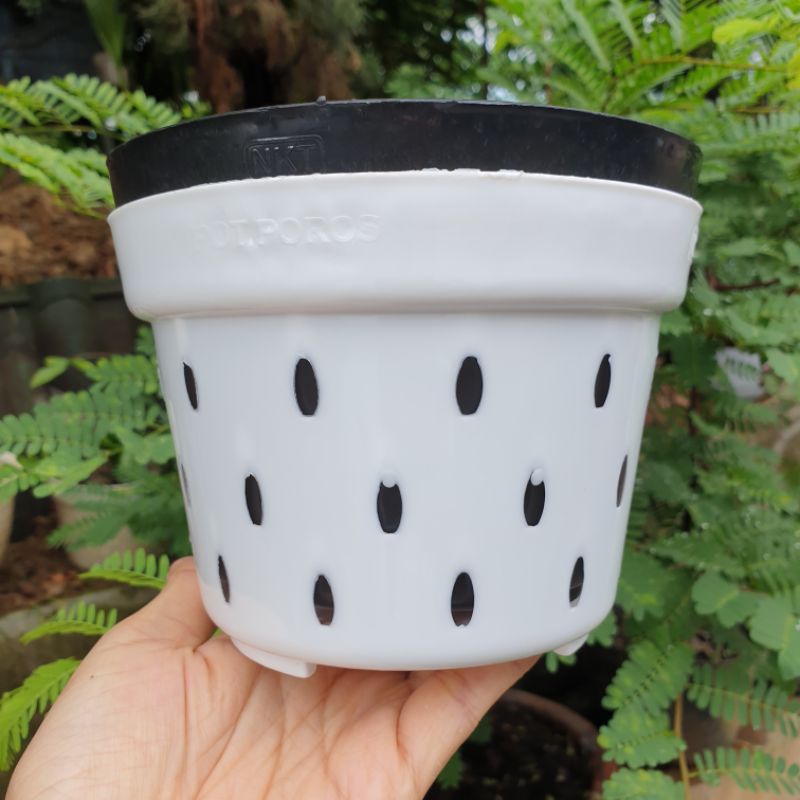 NKT POROS BASIC 15 BANYAK LUBANG (15cm) pot bunga basic polos banyak pori ukuran 15cm cocok untuk aglonema anggrek dll