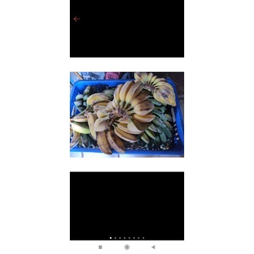 

pisang kepok