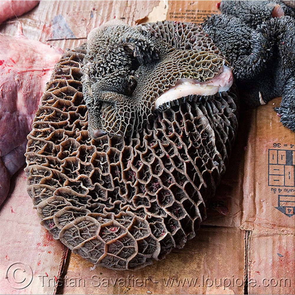 

Babat Sapi / Babat Hitam (Beef Black Tripe Calf Offal)