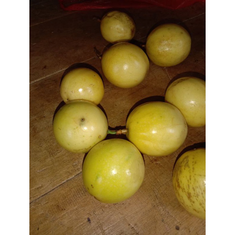 

BUAH MARKISA SEGAR DAN KUALITAS SUPER 1KG