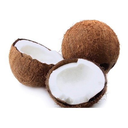 

Kelapa Tua - 1 Butir