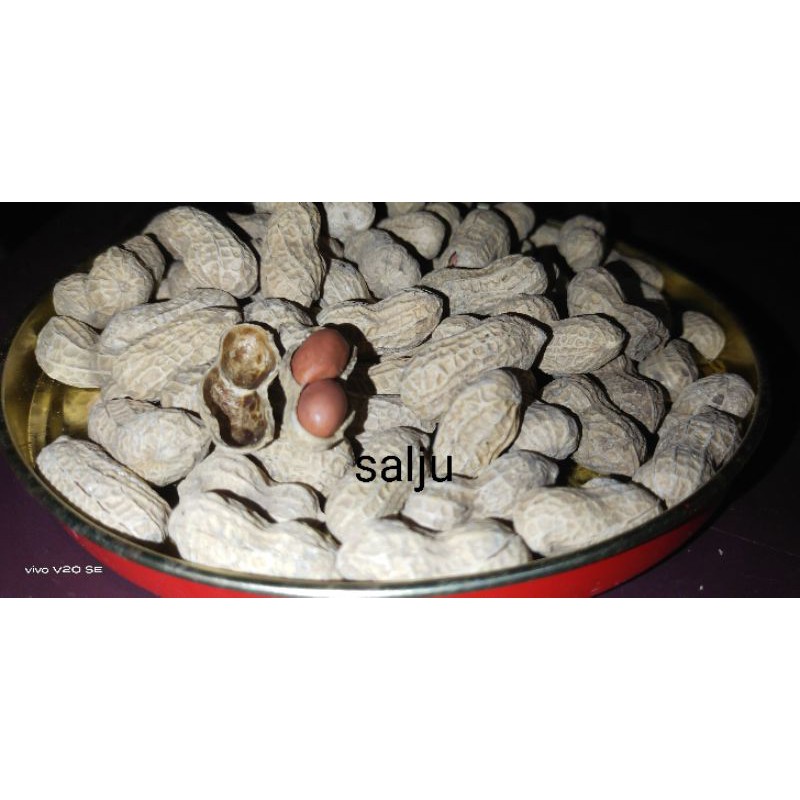 

Salju ~ Kacang Asin khas Sidimpuan