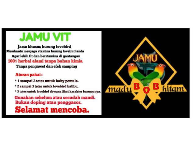 JAMU VIT lovebird