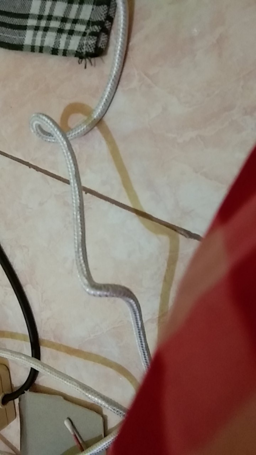 Pisau Apel Pisau Buah Motif Sarung Apel