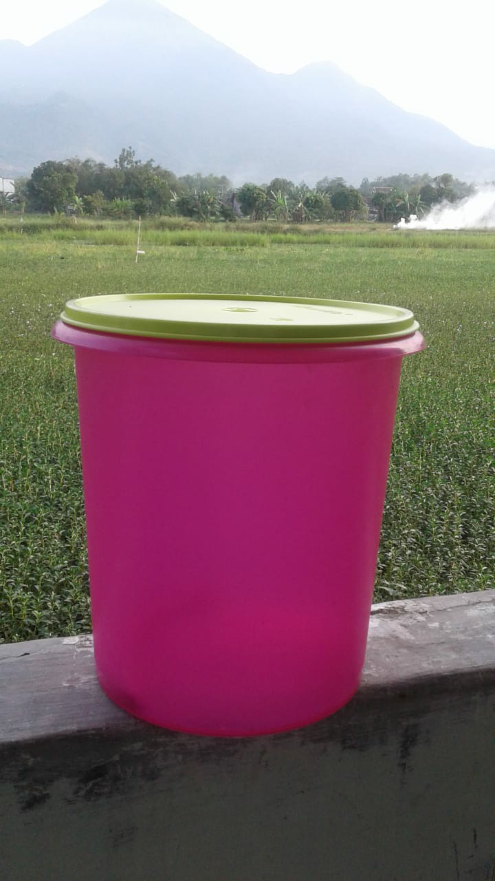 Tutup Toples  Moorlife /tuppw Frasco/ Vigan Diameter 24 /30cm