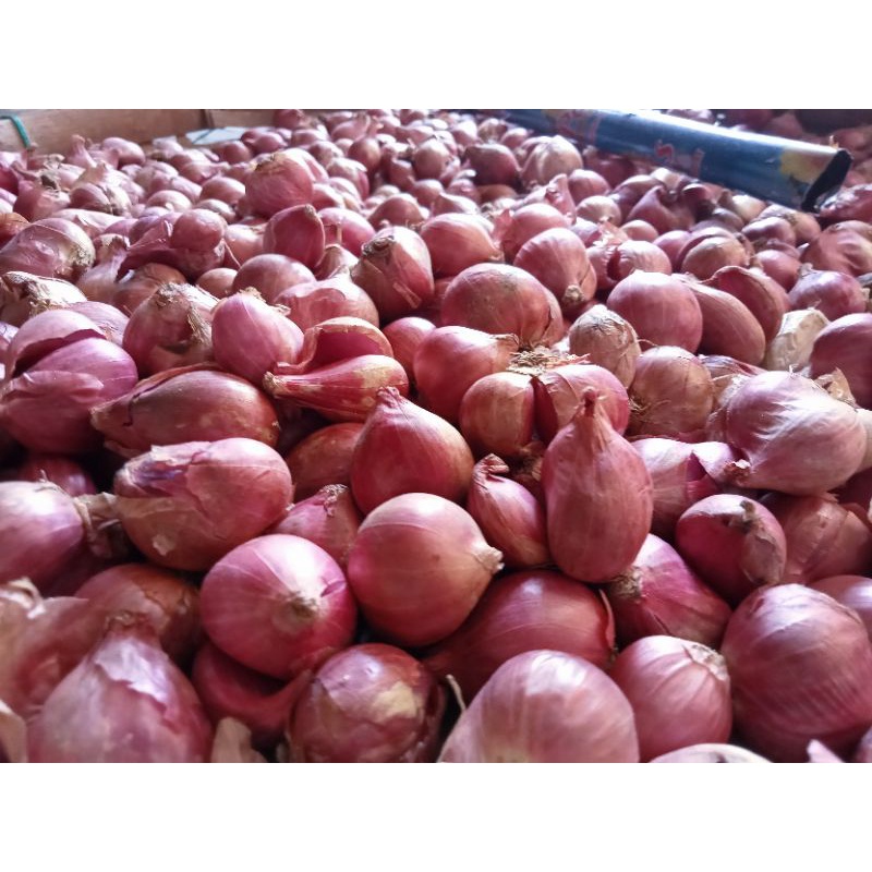 

Bawang Merah brebes ukuran sedang