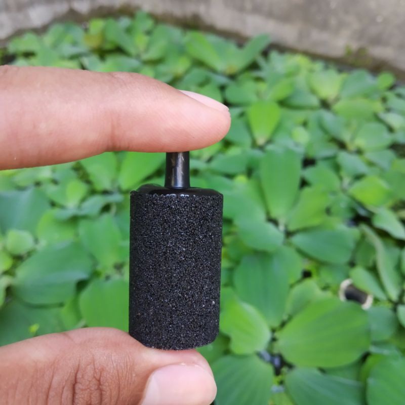 Batu Aerator / Air Stone L3