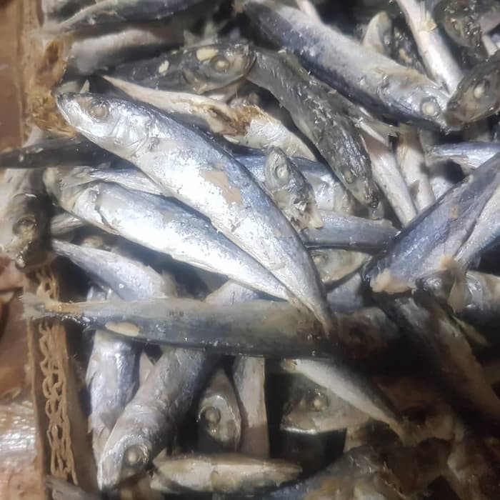 

Ikan asin layang rebus cuek asin rebus netto 500 gram