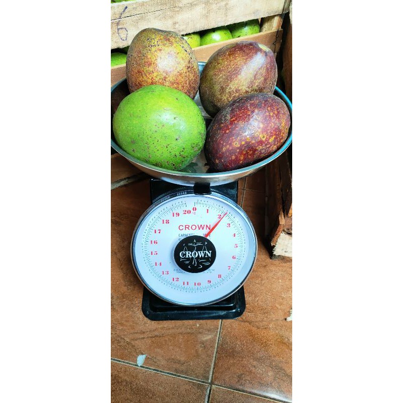 

ALPUKAT MENTEGA SUPER BIG 1KG ISI 2
