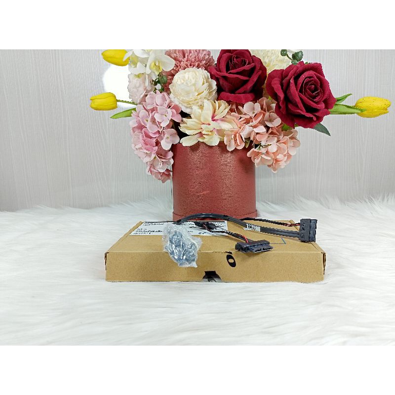 Ready Lenovo Optical Wheel Mouse Black, Wired USB Port New