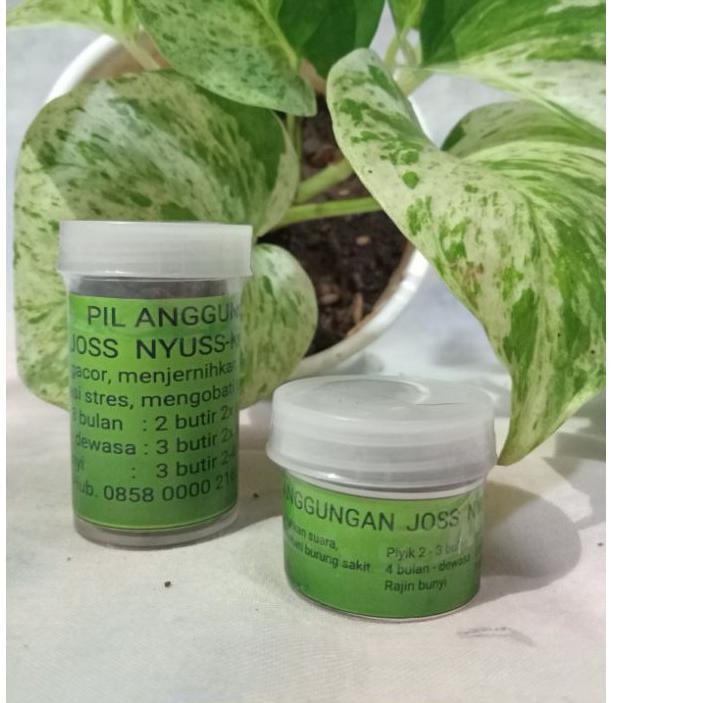 ❄️Harga Potongan Pil Anggungan Joss Nyuss Ki Daris (Perkutut, Derkuku, Puter)