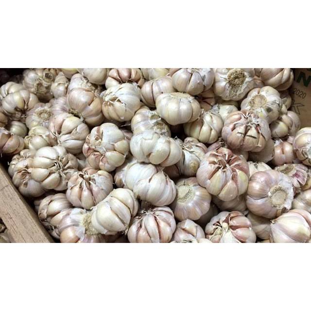 

Bawang Putih 1/2 KG