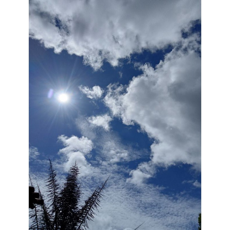 

orderan khusus sekilo