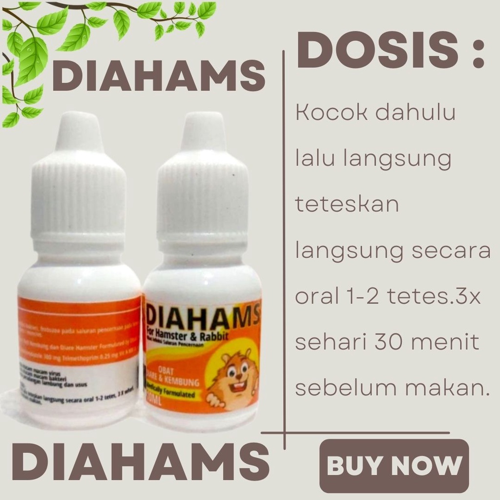 DIAHAMS 10ML OBAT DIARE HAMSTER KELINCI FEZONE