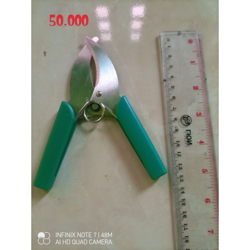 

gunting cangkok