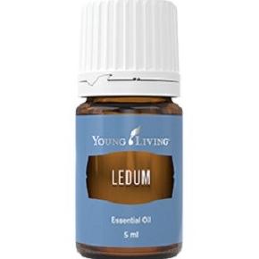 Essential Oil Yl Ledum 5 Ml Antogondrong12