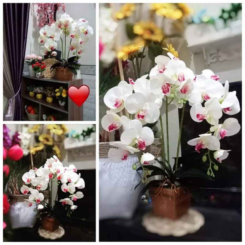 ANGGREK LATEX LENGKAP VAS