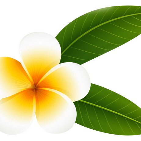 estywijayantim.ridwan