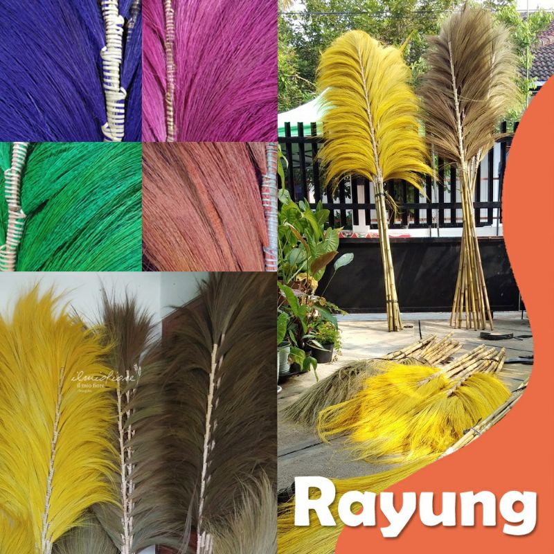 Rayung Stick Home Decor | Pampas Rayung Warna