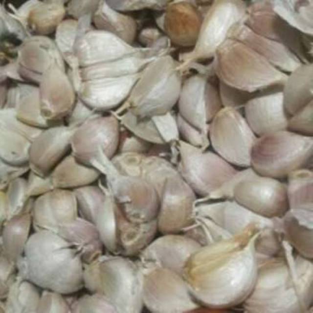 

Bawang putih kating 250 gram bumbu penyedap