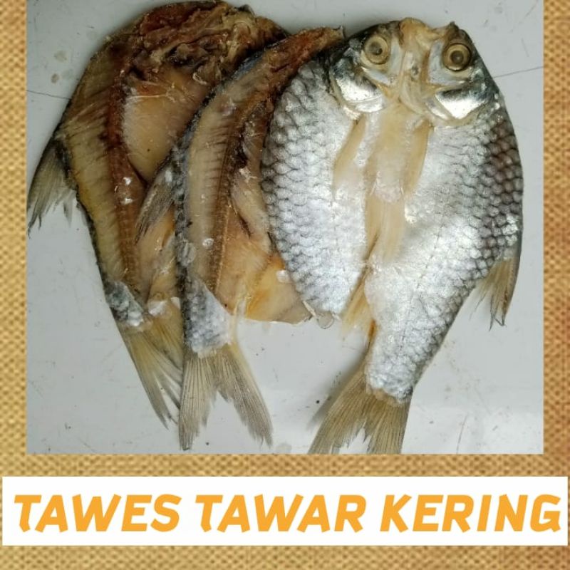 

Ikan Asin Belahan Tawes 500g