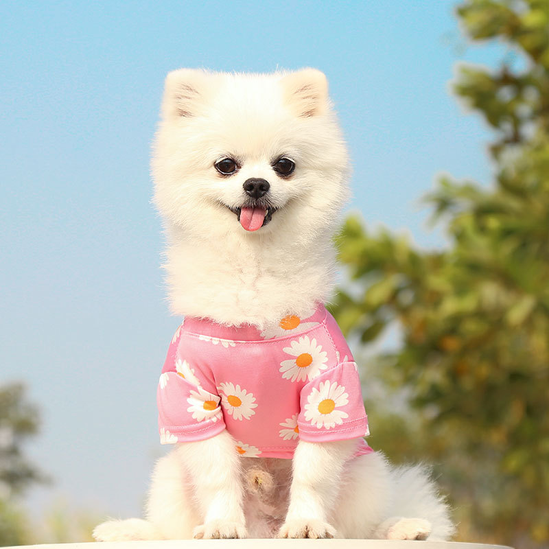 ★〓YUFeiPet〓★Pet Cats Clothes Spring Summer New Travel Daisy Printed Short Sleeve T-shirt Clothes Small Medium Dogs Pet Puppy T Shirt Vest