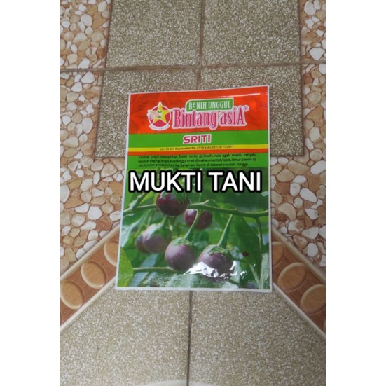 Benih Terong Ungu Bulat Sriti 10 gram | Bibit terong ungu bulat Benih Citra Asia