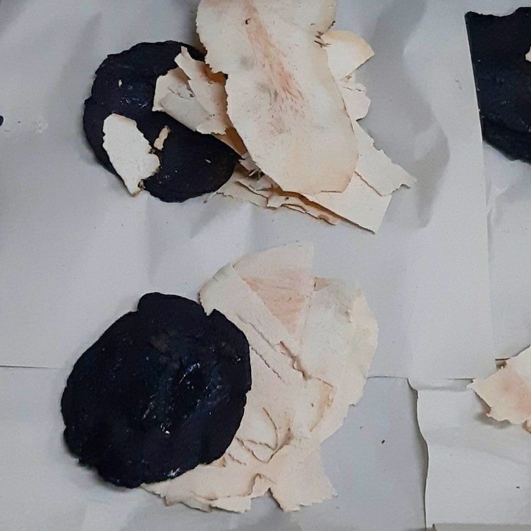 

Ramuan Herbal Shengdi Tufu/ Senti Tufu / Ramuan Detox