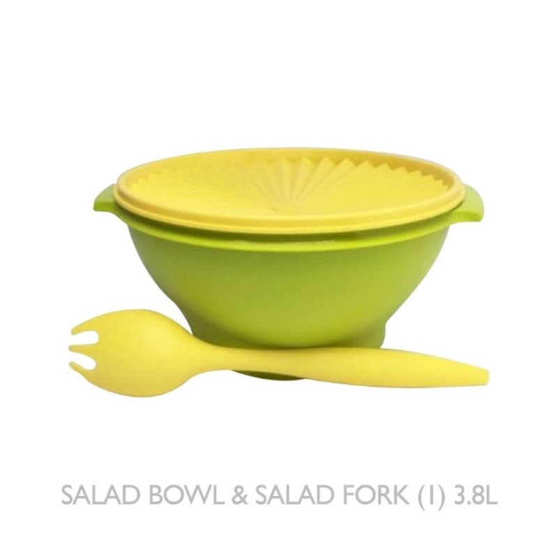 salad bowl with salad fork/bowl hijau/tupperware Malaysia/Fresh Bowl Collection/fresh bowl/Rice Bowl / bowl ungu tupperware / rice bowl Tupperware/soup bowl/soup bowl Tupperware