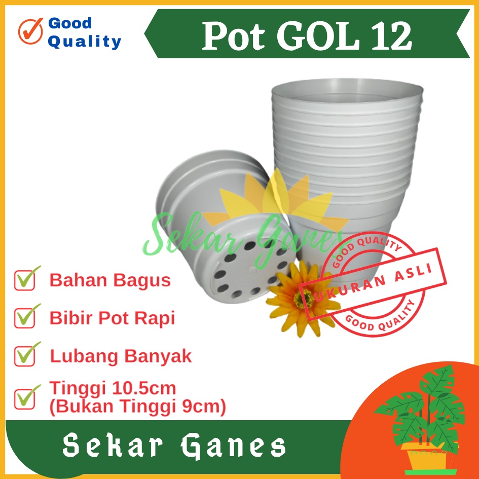 Sekarganes Lusinan Pot 12 Putih Polos - Pot 12 Cm Putih Kecil Mini Minimalis Plastik Kaktus Sukulen Mini Murah Pot Bibit Pembibitan