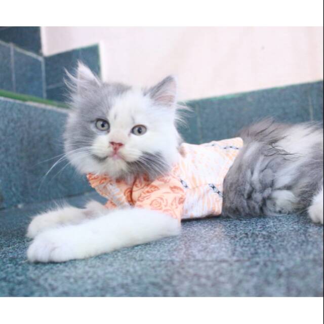 Kemeja batik warna orange size S M L XL murah meriah untuk anjing kucing / baju kucing tangerang