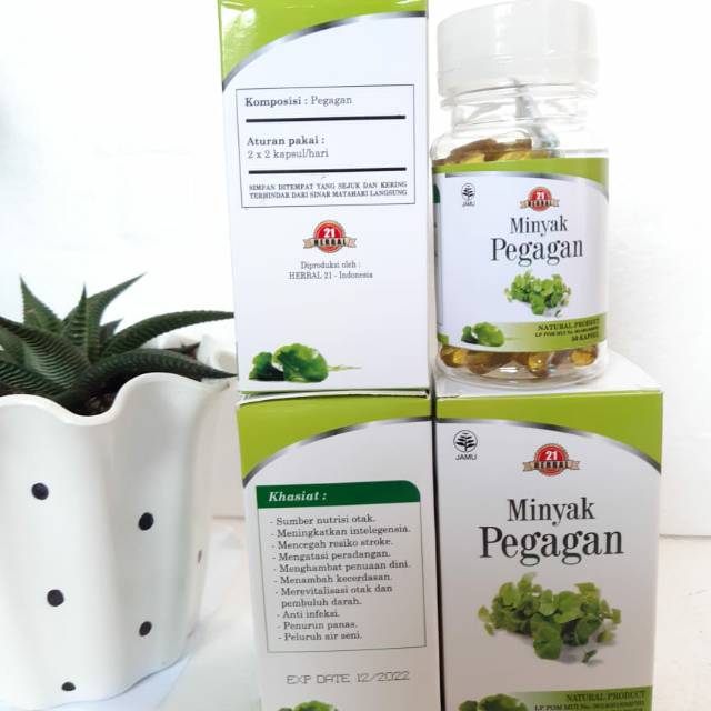 MINYAK PEGAGAN UNTUK NUTRISI OTAK 50 KAPSUL