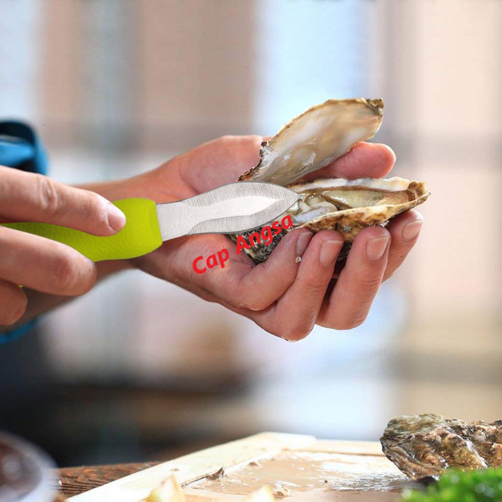 PISAU TIRAM ALAT PEMBUKA KERANG CUNGKIL CONGKEL BUKAAN SHEL FISH OYSTER KNIFE SHELFISH SHUCK KNIFE