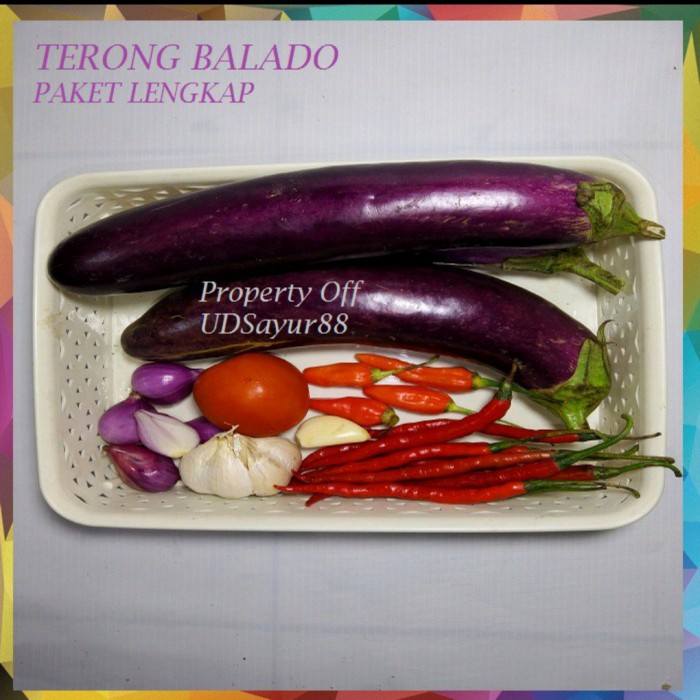 

PAKET LENGKAP BALADO TERONG