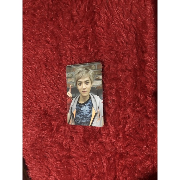 PC LUHAN XOXO