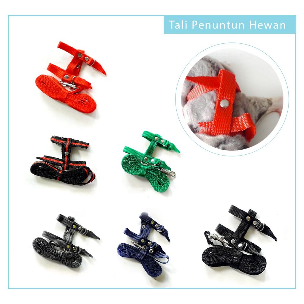 ADEWAP GLIDER Harness H Tali Penuntun Sugar Glider